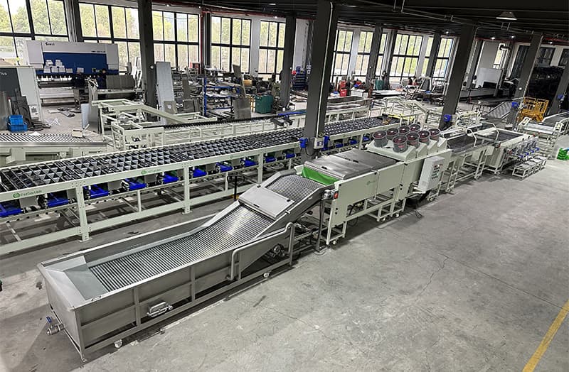 images/1680157937881Kumquat sorter.jpg